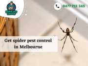 Rid Your Homes From Spider Webs With Pest Control Services