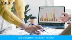 Professional Data Conversion Services in The USA