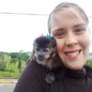 Tina and Zina capuchin monkey for sale