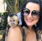 Male and Female Capuchin Monkeys To Give