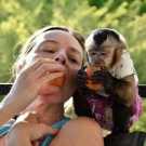 Friendly monkeys for adoption 111