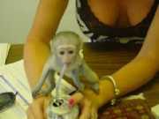 Lovely diaper trained capuchin monkey for affordable price