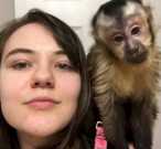 Amazing top home raised Capuchin Monkeys
