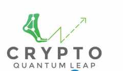 Crypto Quantum Leap.A cryptocurrency video course for beginner