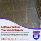 Top-Rated Carpet Cleaning in Paso Robles CA
