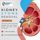 Kidney Stone Removal in Miami