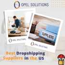 Find out how to choose the Best Dropshipping Suppliers | Opelsolutions