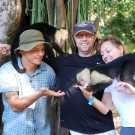 Potty raise capuchin monkey for sale