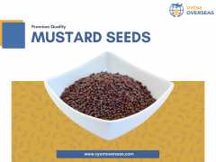 Buy Bulk Mustard Seeds From Global Spice Exporter