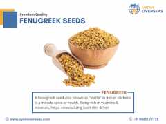 Buy Bulk Fenugreek Seeds From Global Spice Exporte